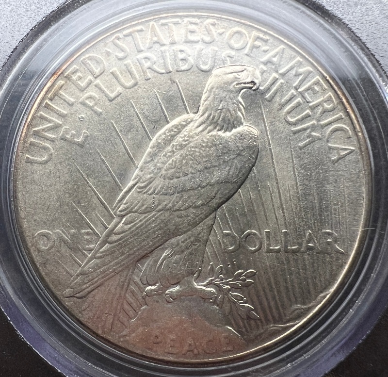 10-Days-Of-Peace-Dollars!